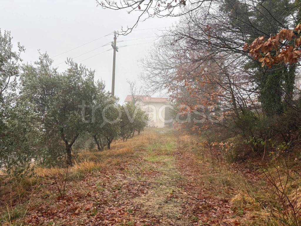 immagine annuncio 1 di 9