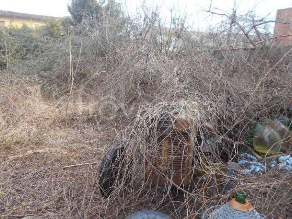 immagine annuncio 10 di 13