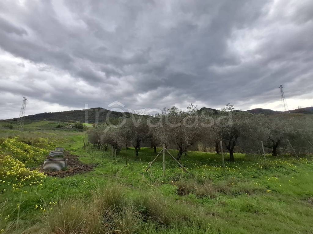 immagine annuncio 1 di 6