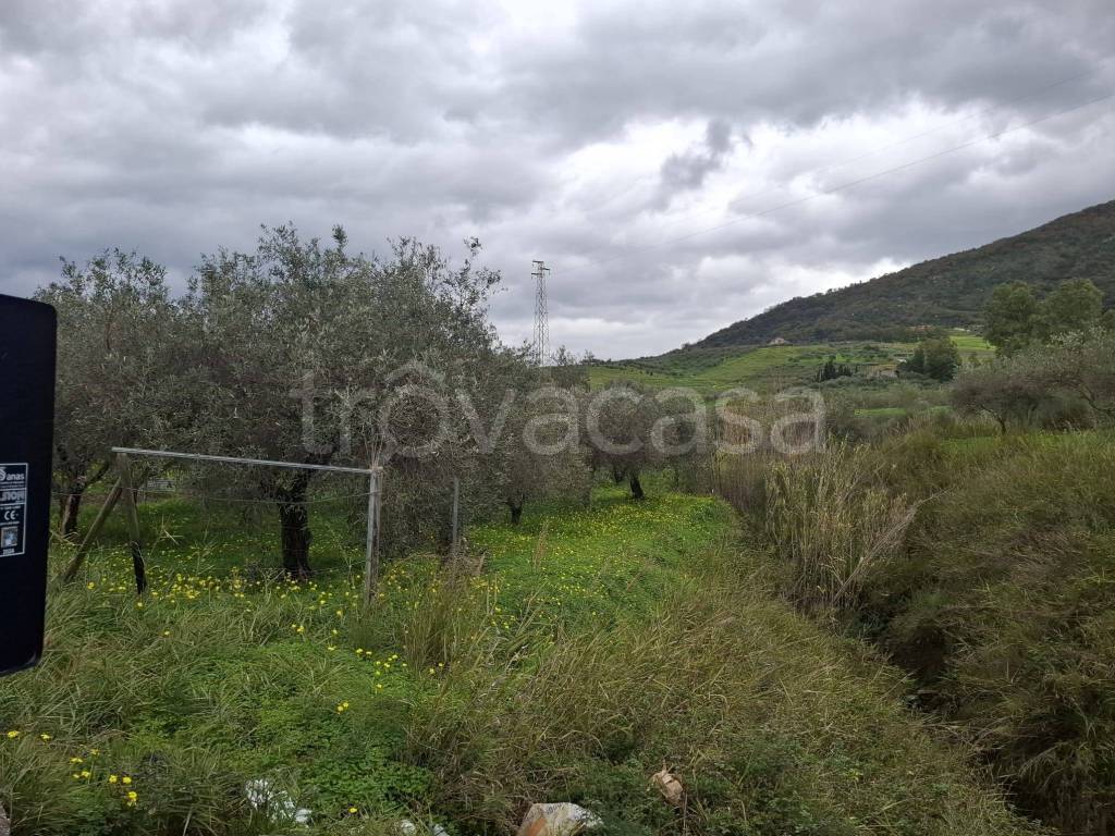 immagine annuncio 4 di 6