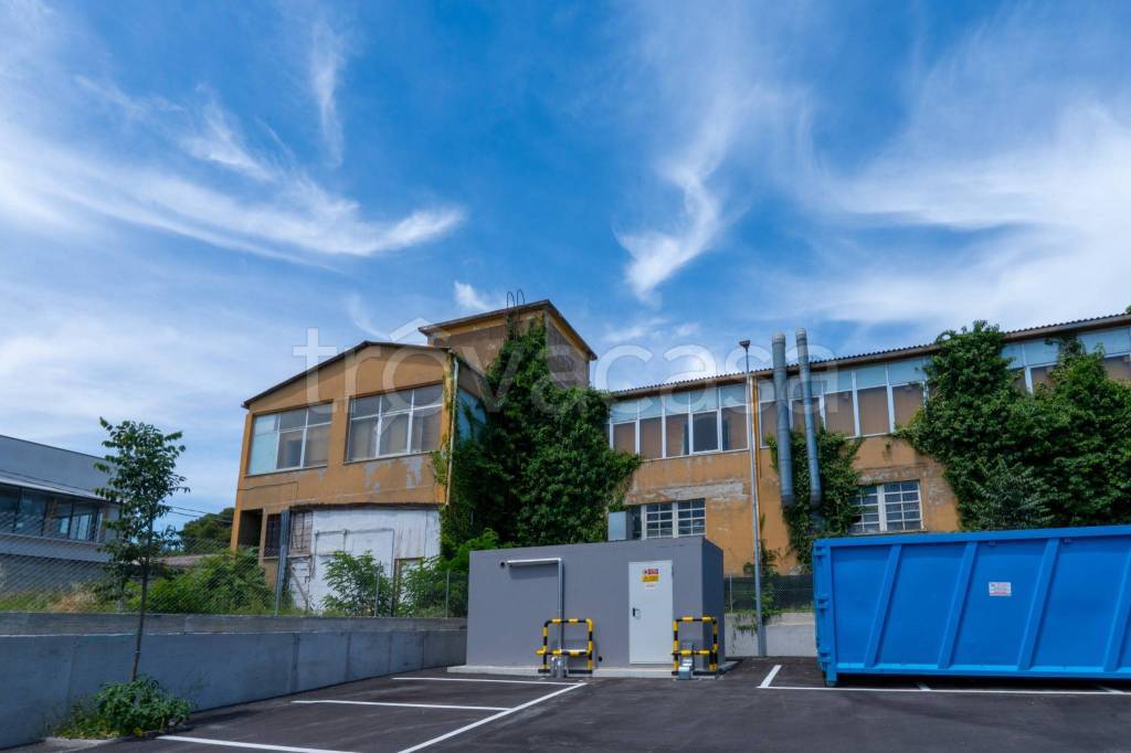 immagine annuncio 3 di 10