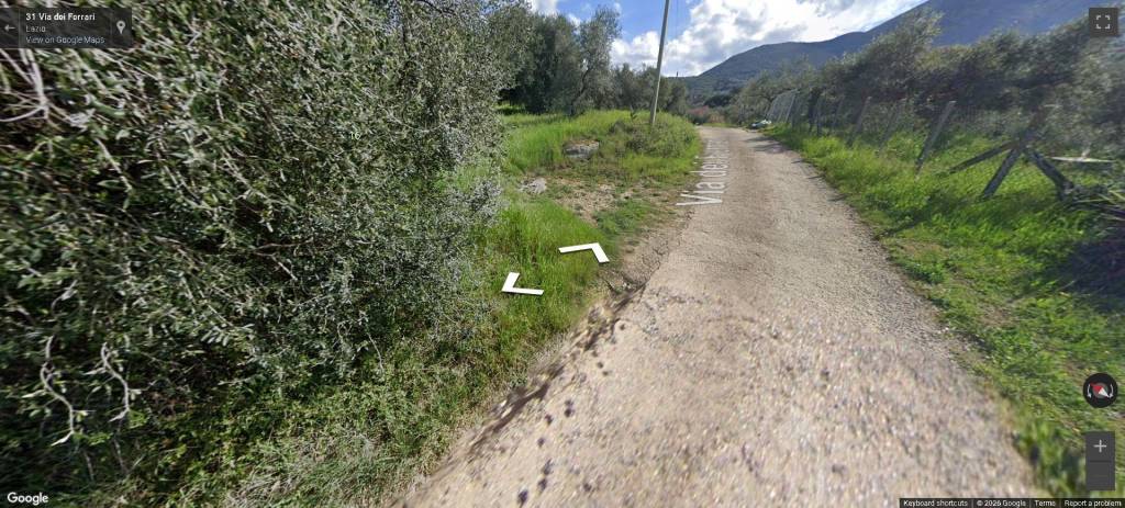 immagine annuncio 10 di 11