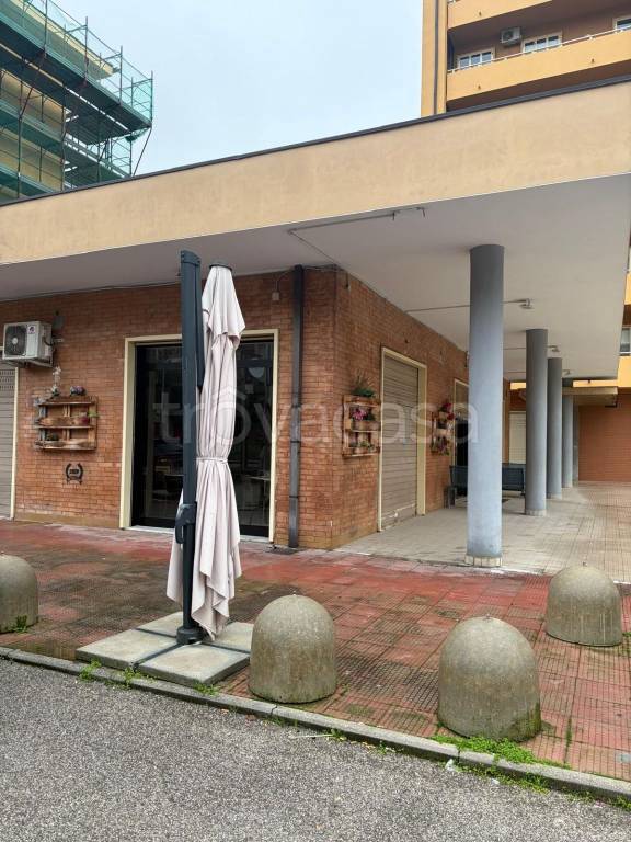 immagine annuncio 1 di 3