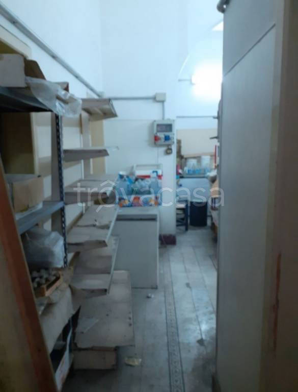 immagine annuncio 7 di 12