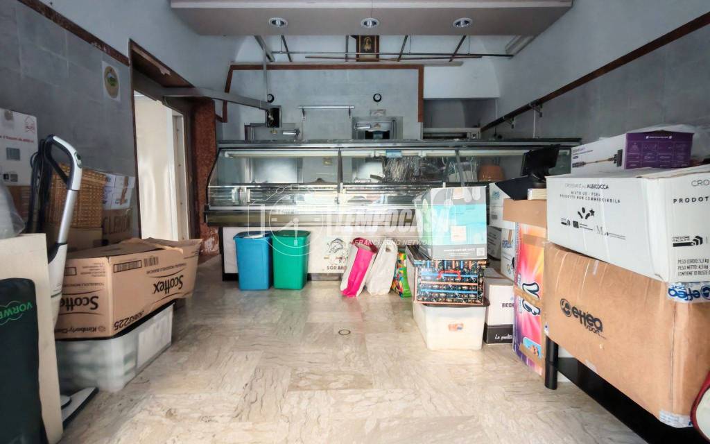 immagine annuncio 1 di 14