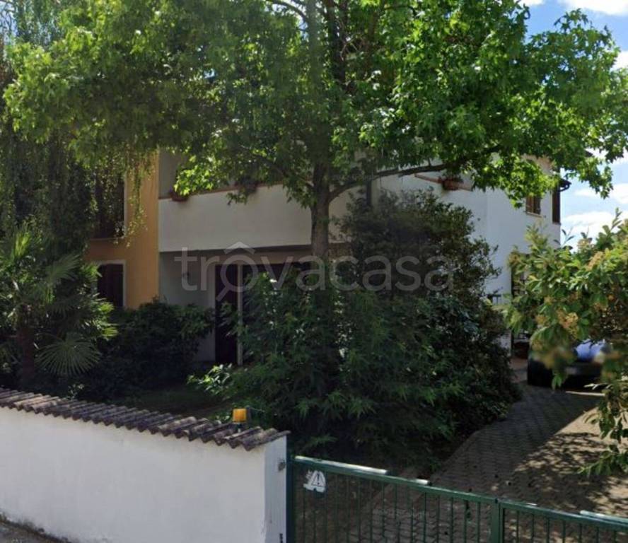 immagine annuncio 6 di 14