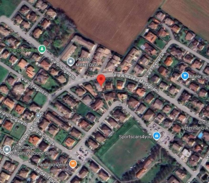 immagine annuncio 13 di 14