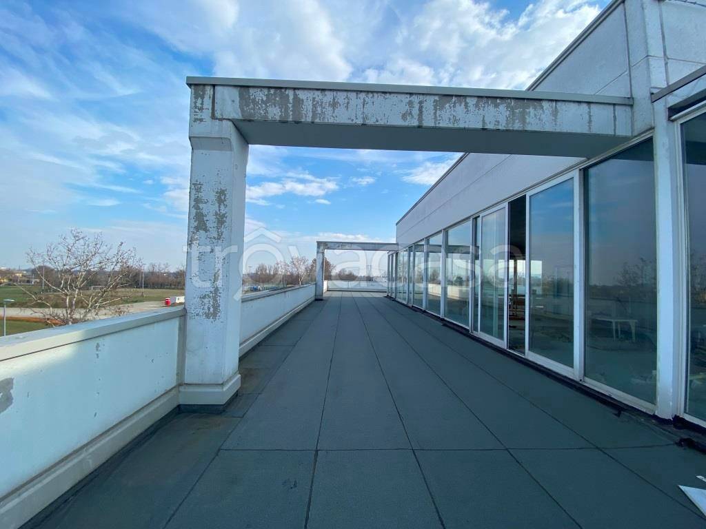 immagine annuncio 1 di 14