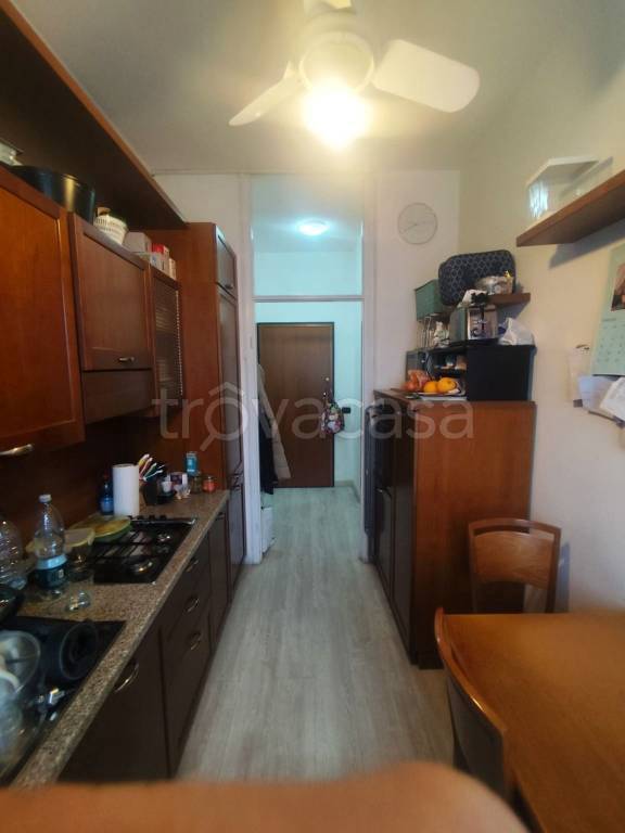 immagine annuncio 5 di 12