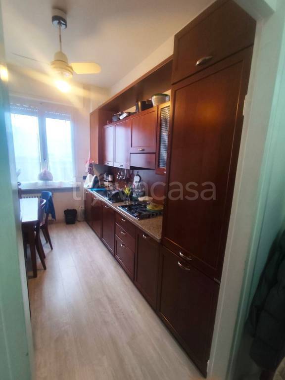 immagine annuncio 6 di 12