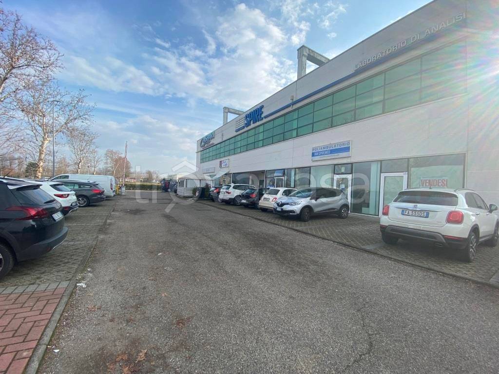 immagine annuncio 11 di 14