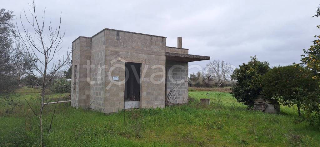 immagine annuncio 1 di 10