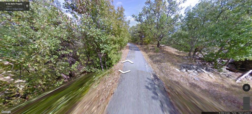 immagine annuncio 6 di 12