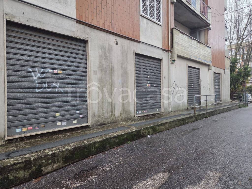 immagine annuncio 5 di 6