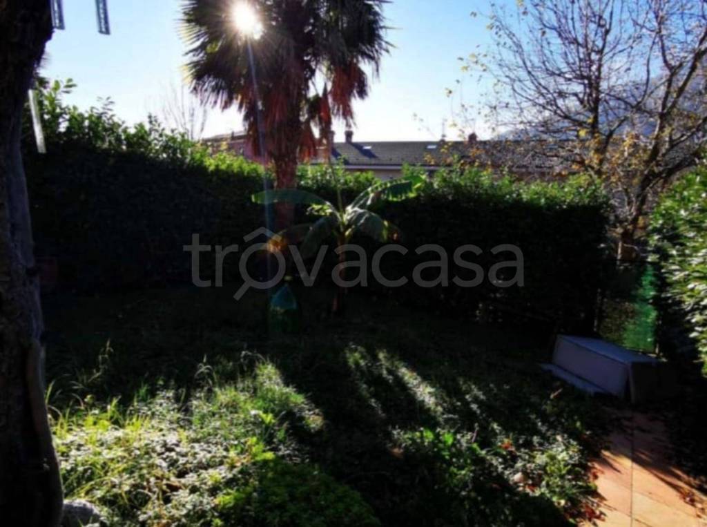 immagine annuncio 2 di 12