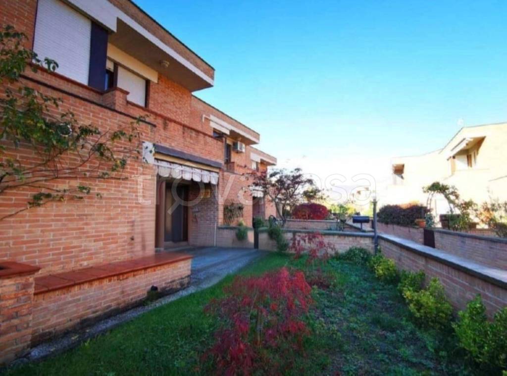 immagine annuncio 10 di 12