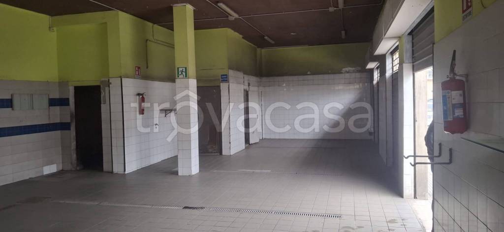 immagine annuncio 4 di 8