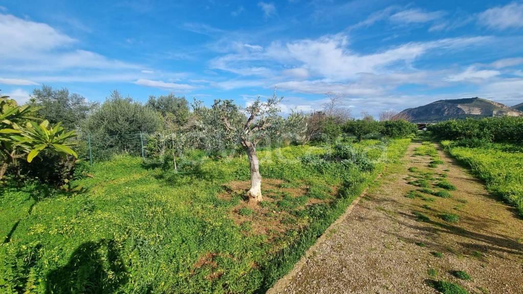 immagine annuncio 4 di 7