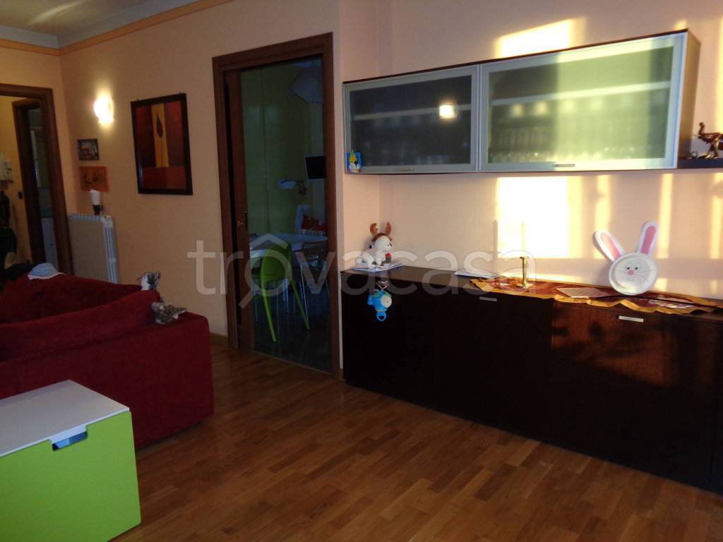 immagine annuncio 1 di 14