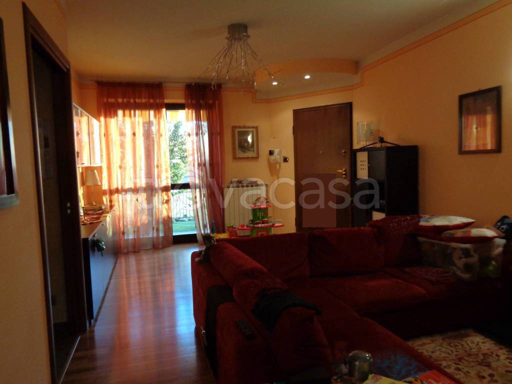 immagine annuncio 2 di 14