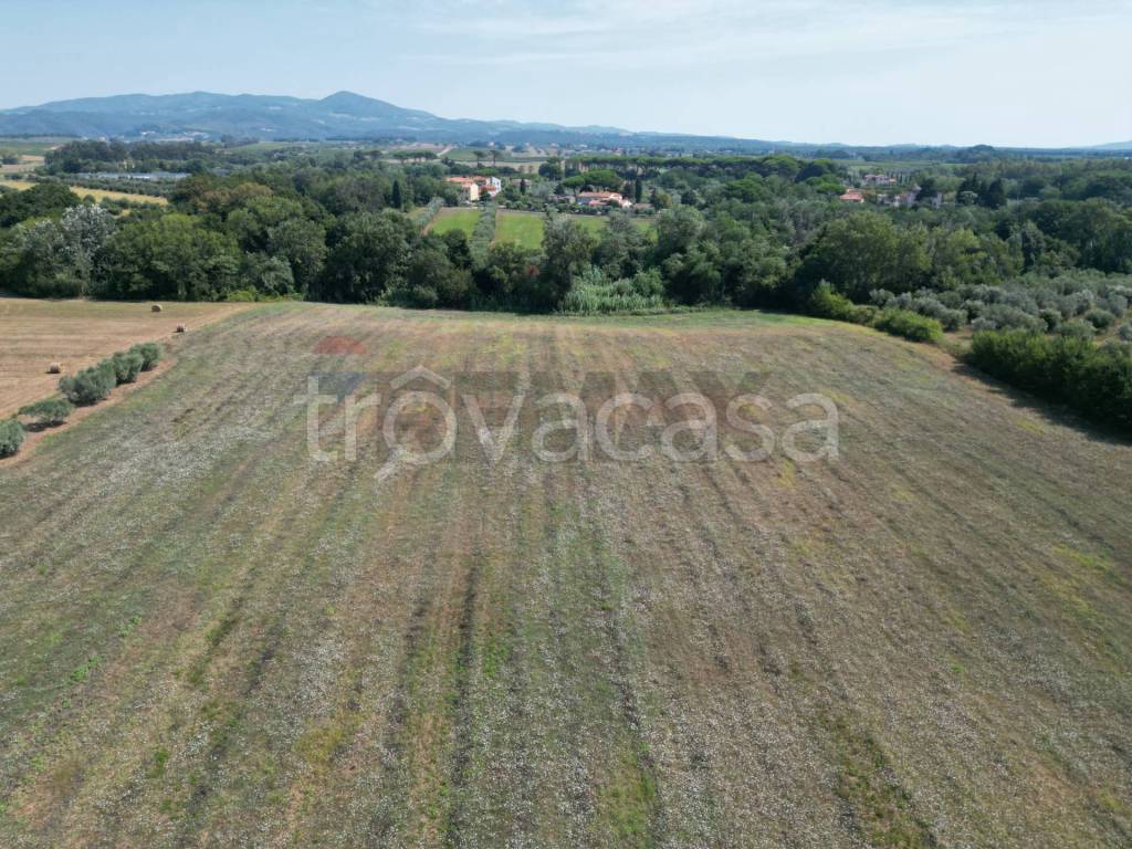 immagine annuncio 7 di 14