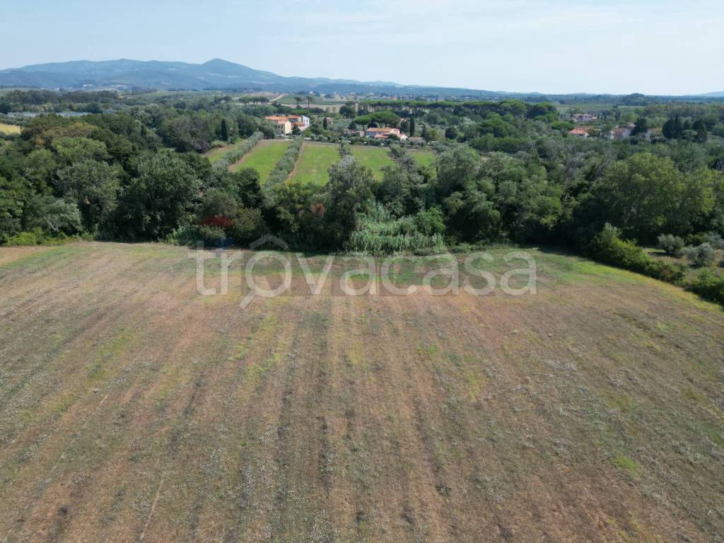 immagine annuncio 8 di 14