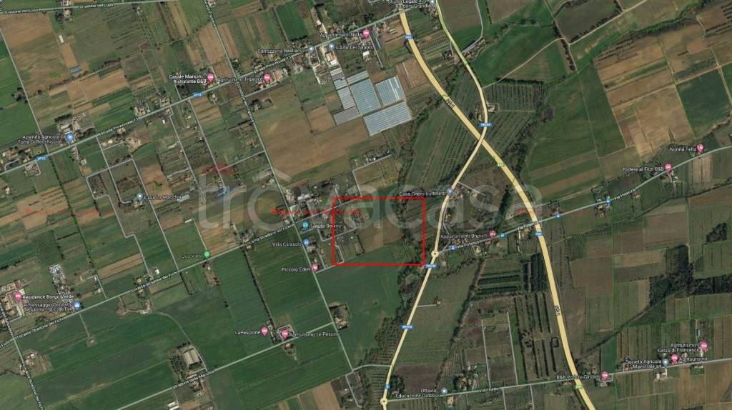 immagine annuncio 13 di 14