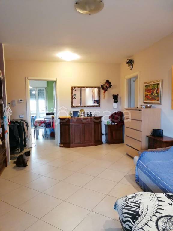 immagine annuncio 2 di 13