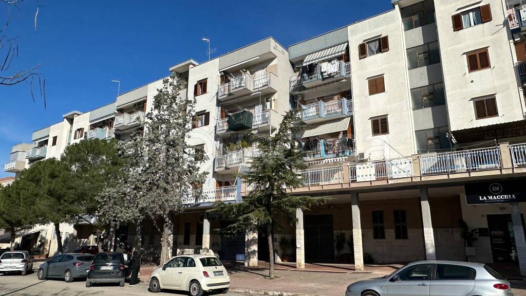 immagine annuncio 6 di 15