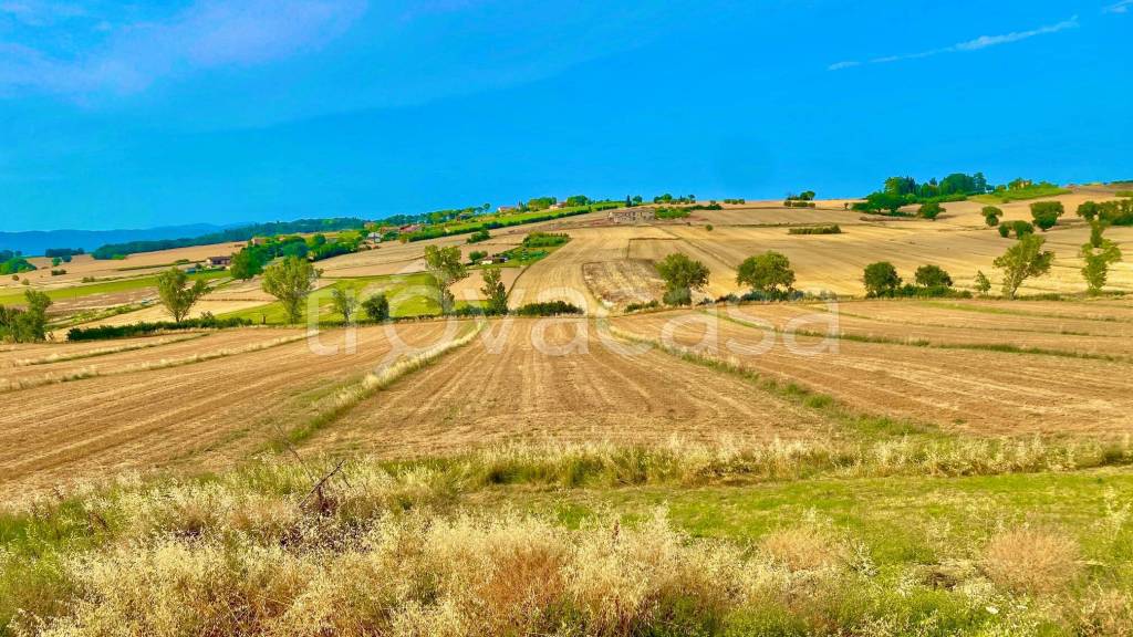 immagine annuncio 5 di 6