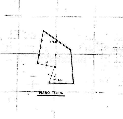 immagine annuncio 5 di 6