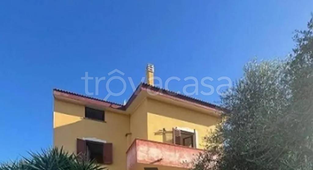 immagine annuncio 8 di 11