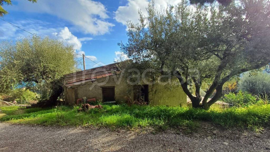 immagine annuncio 3 di 8