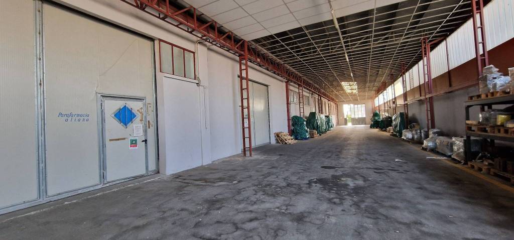 immagine annuncio 10 di 15