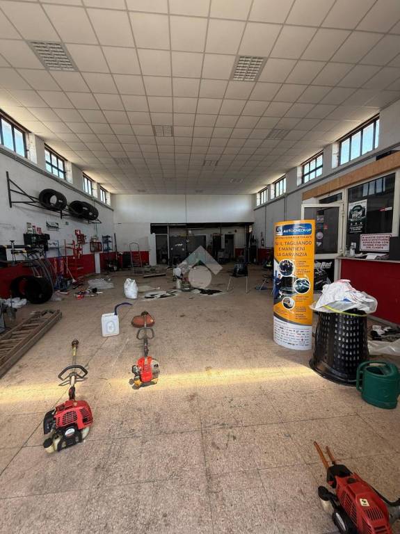 immagine annuncio 10 di 15