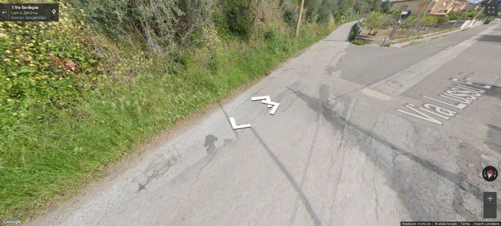 immagine annuncio 3 di 14