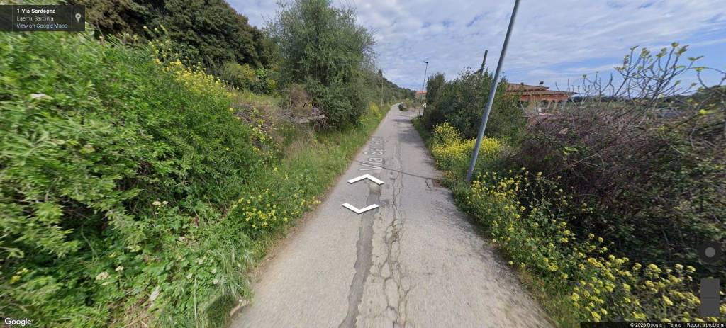 immagine annuncio 4 di 14