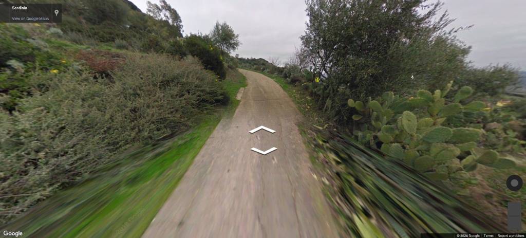 immagine annuncio 6 di 14