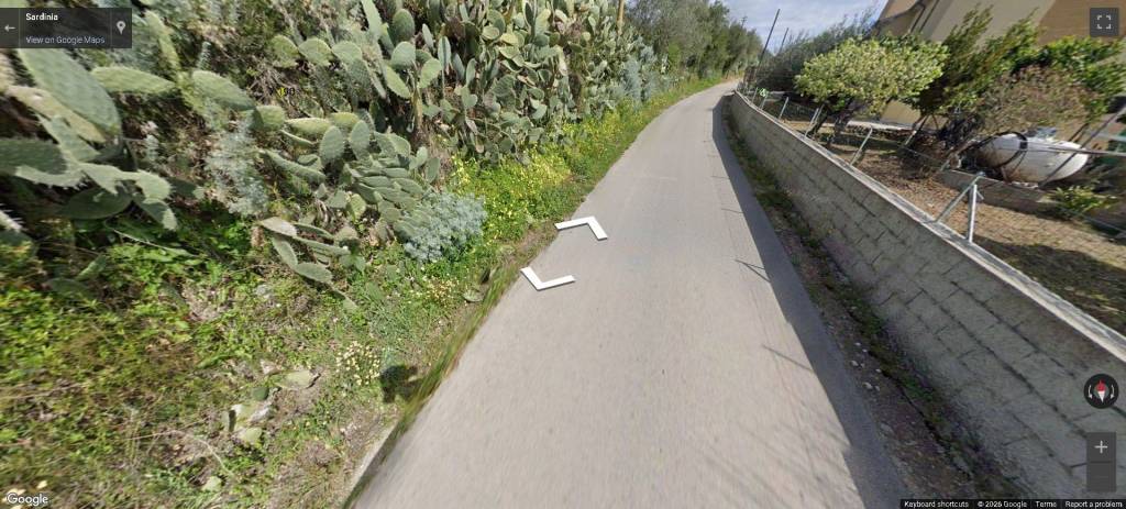 immagine annuncio 11 di 14