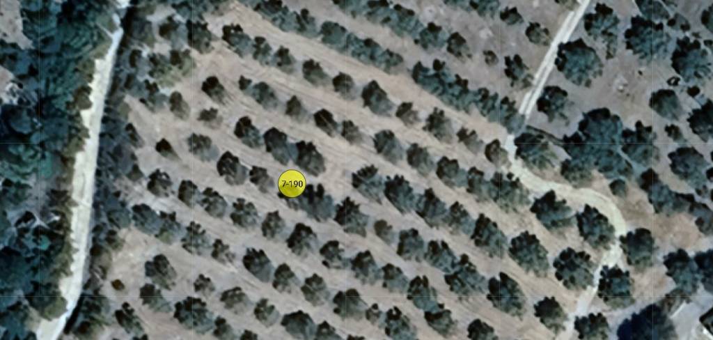 immagine annuncio 13 di 14