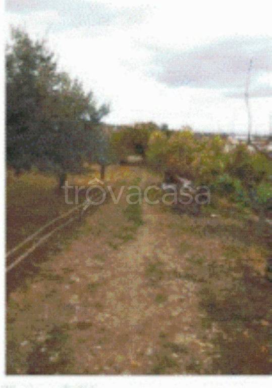 immagine annuncio 6 di 9