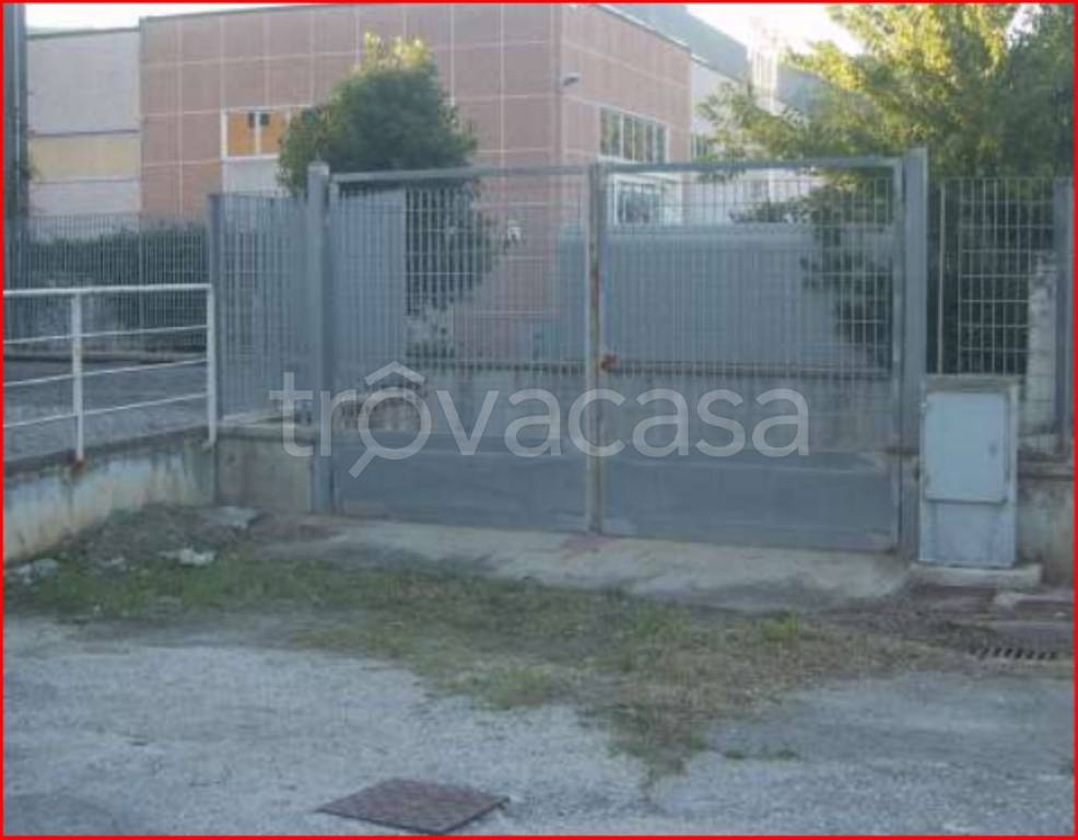 immagine annuncio 2 di 12