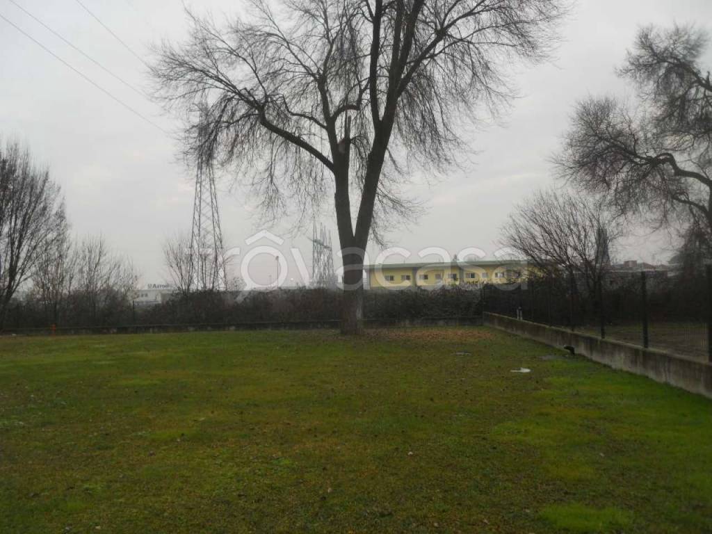 immagine annuncio 5 di 15