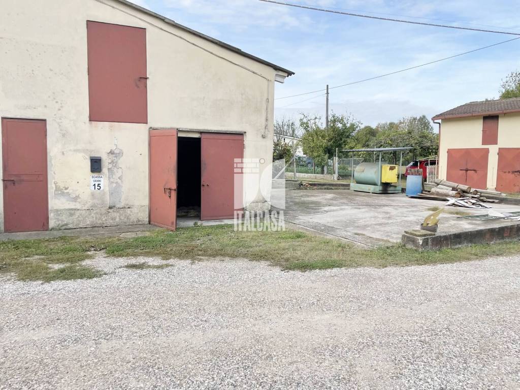 immagine annuncio 1 di 15