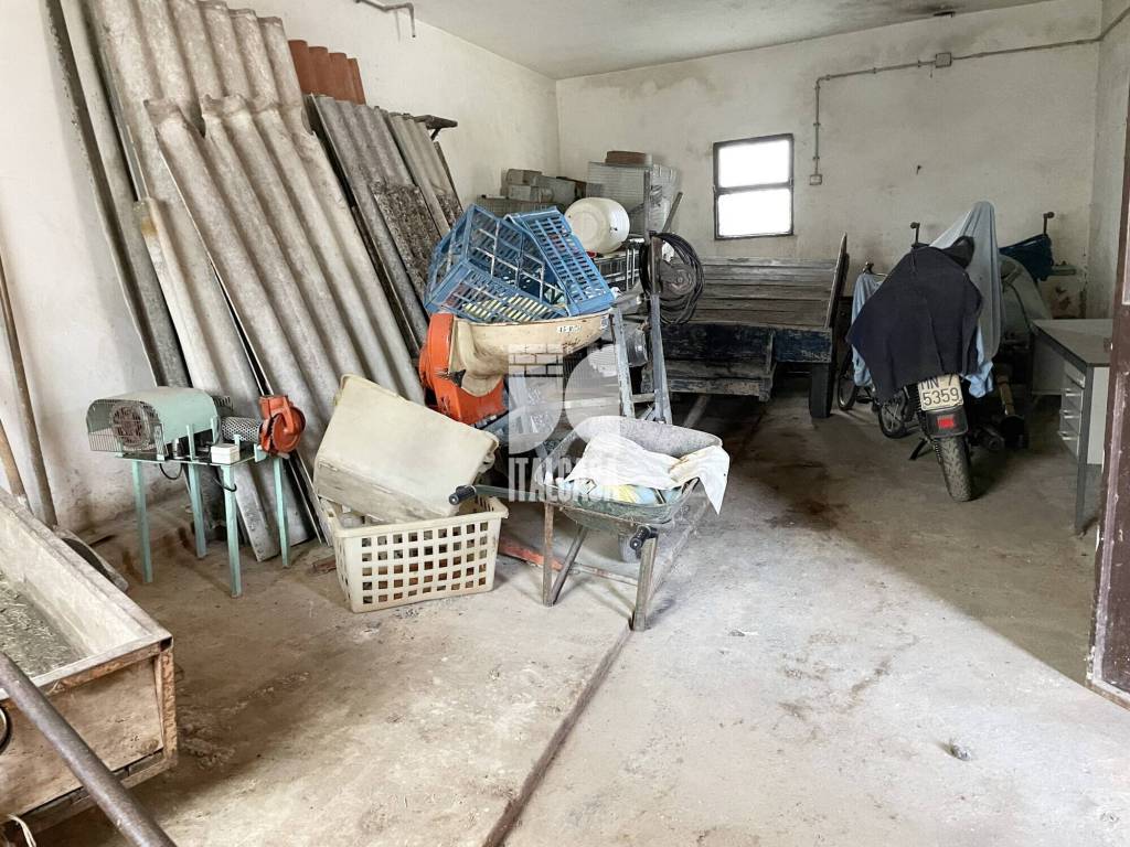 immagine annuncio 10 di 15