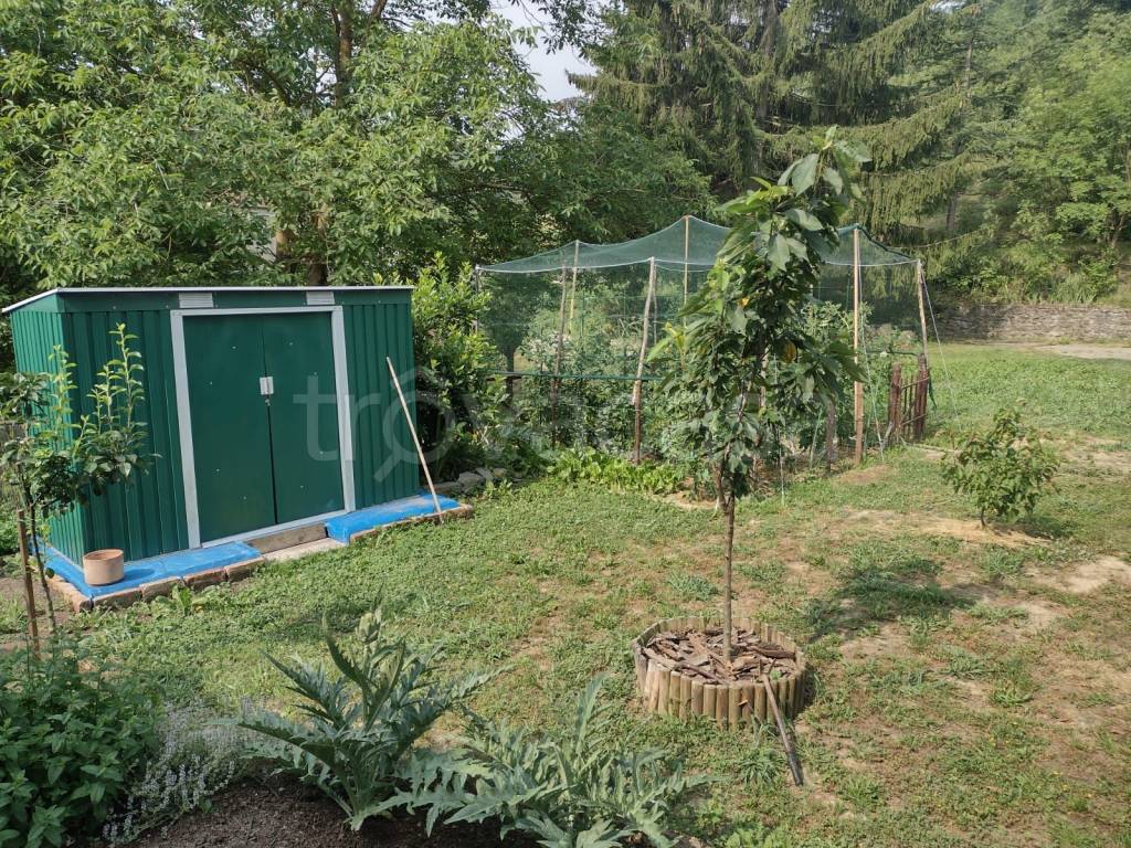 immagine annuncio 6 di 15