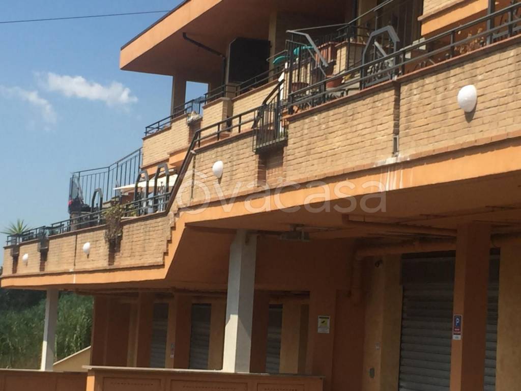 immagine annuncio 7 di 9