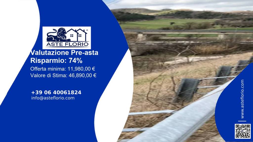 immagine annuncio 1 di 12