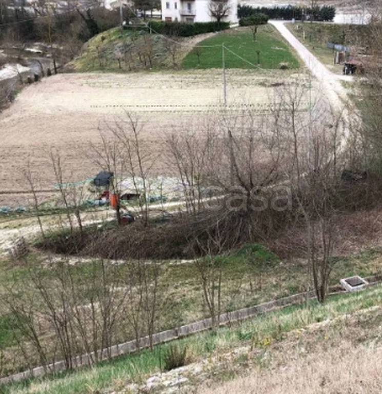 immagine annuncio 4 di 11