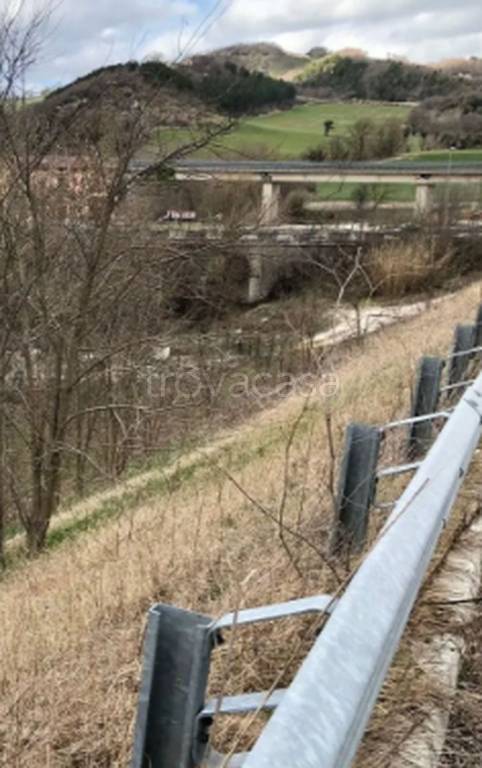 immagine annuncio 7 di 11